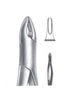 Extracting Forceps